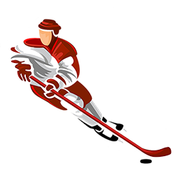 logo api hockey