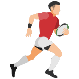 logo api rugby