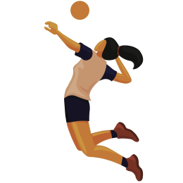 logo api volleyball